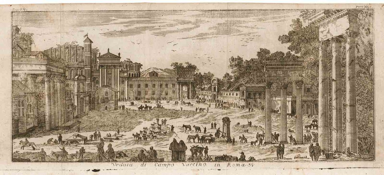 Veduta di Campo Vaccino in Roma.