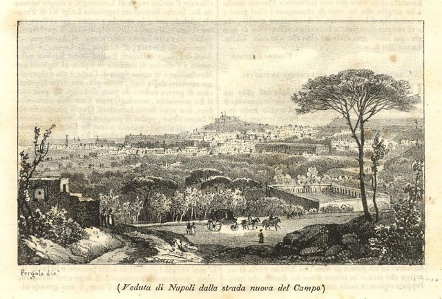 Veduta di Napoli dalla strada nuova del Campo