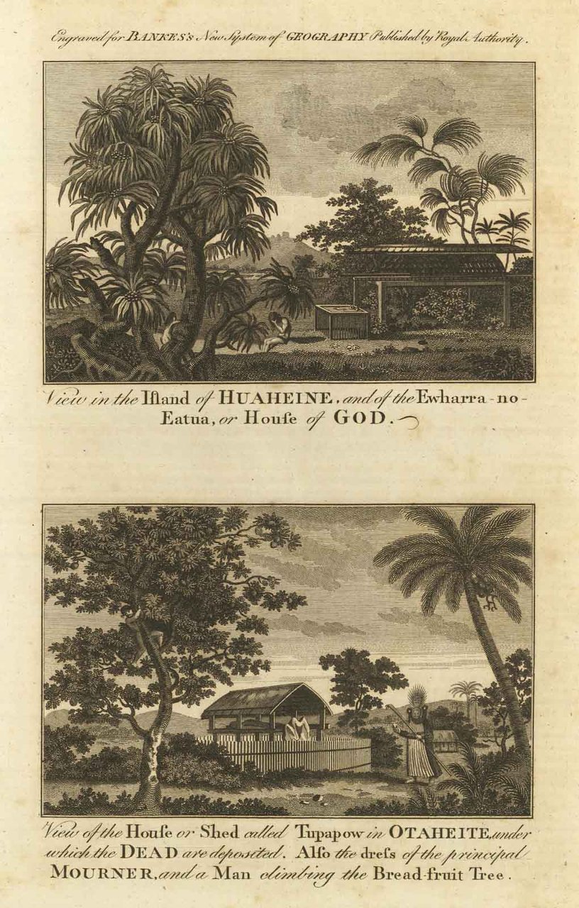 View in the island of Huaheine and the Ewharra no …