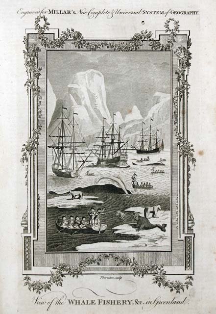 View of the Whale Fishery & c. in Greenland