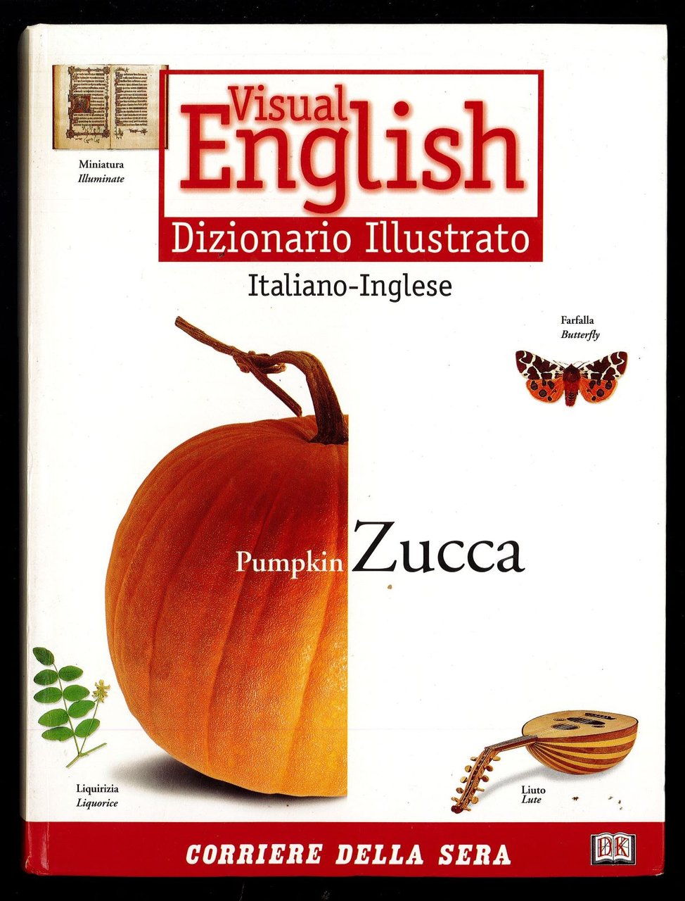 Visual English: dizionario illustrato italiano-inglese | Immagine principale