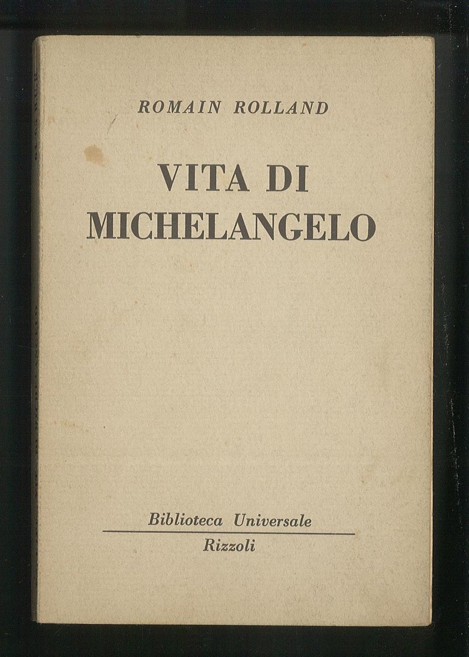 Vita di Michelangelo
