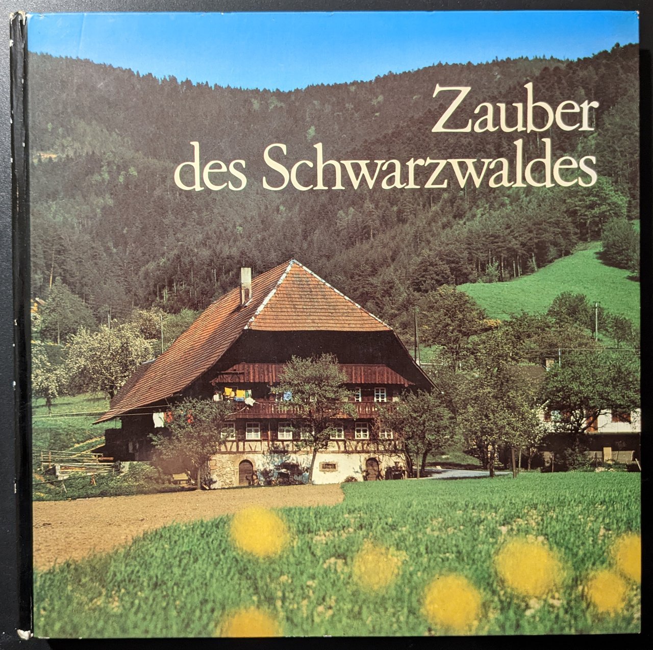 Zauber des Schwarzwaldes