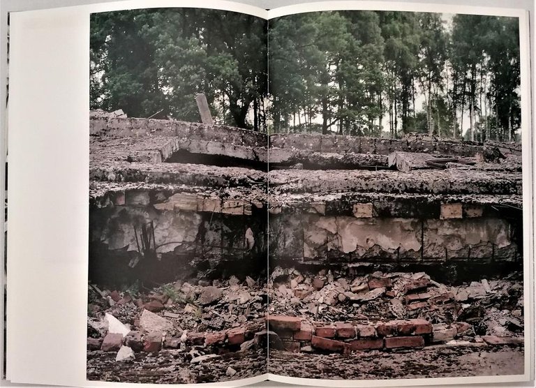 10 Days in Krakòw | Immagine Gallery 2