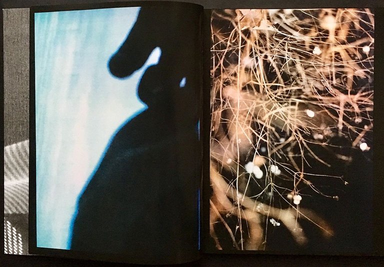 100 Bilder | Immagine Gallery 3