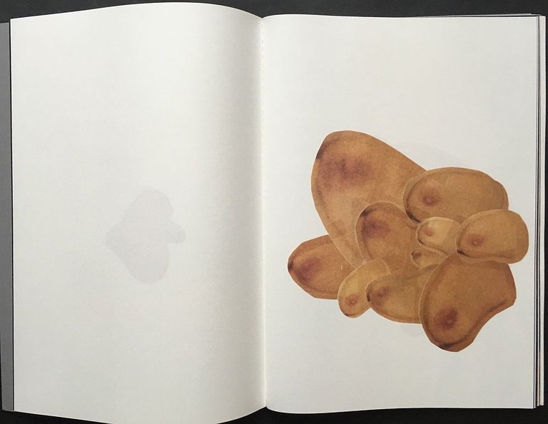 191 | Immagine Gallery 3