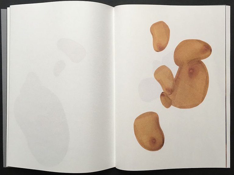 191 | Immagine Gallery 4