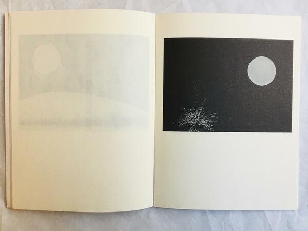 Cecco Ceccherini. La Luna