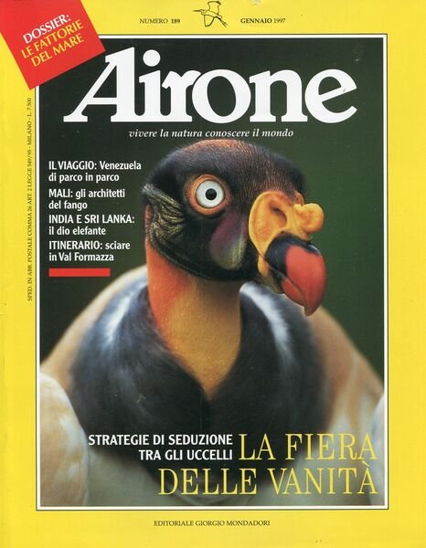 Airone. Anni dal 1981al 1997
