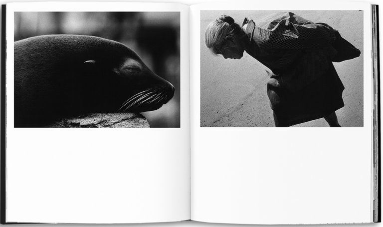 78 | Immagine Gallery 5
