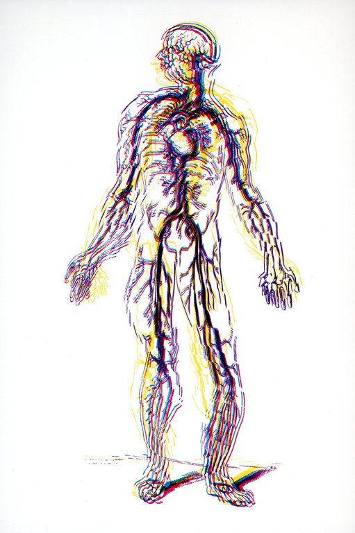 A bras le corps | Immagine Gallery 2