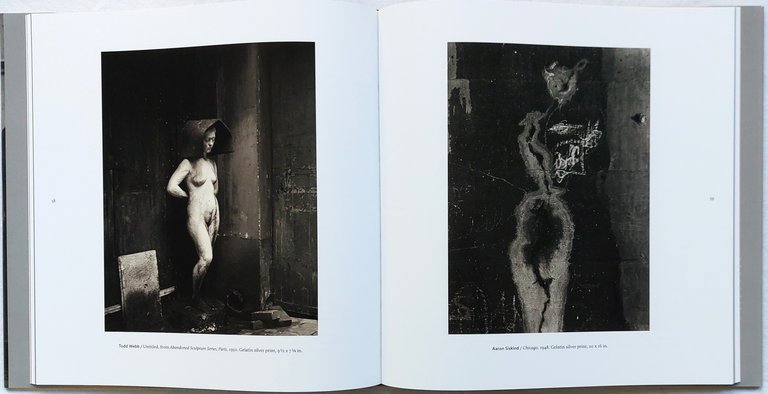 A Democracy of Imagery | Immagine Gallery 2