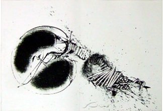 A mezzo della notte | Immagine Gallery 5