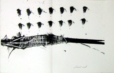 A mezzo della notte | Immagine Gallery 8