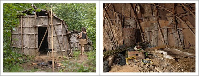 A Natural Order | Immagine Gallery 5