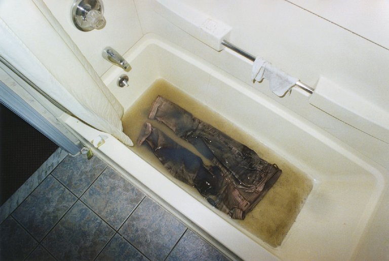 A Period of Juvenile Prosperity | Immagine Gallery 4