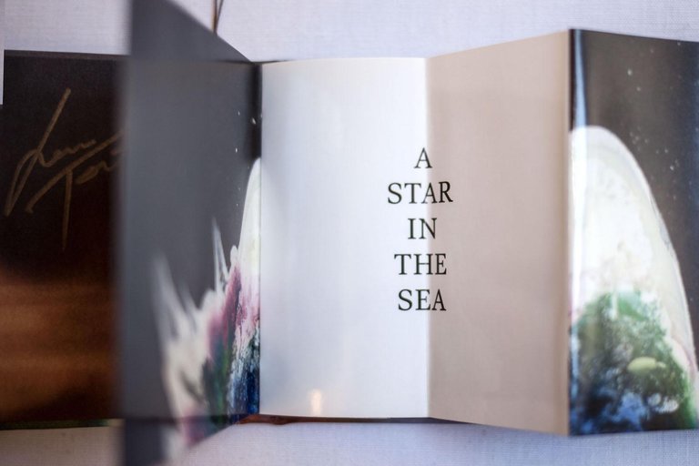 A Star in the Sea | Immagine Gallery 4