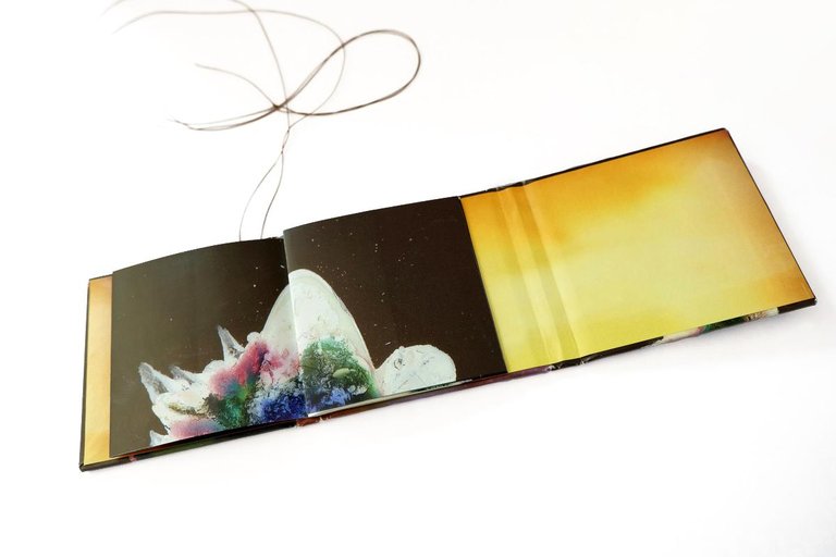 A Star in the Sea | Immagine Gallery 9