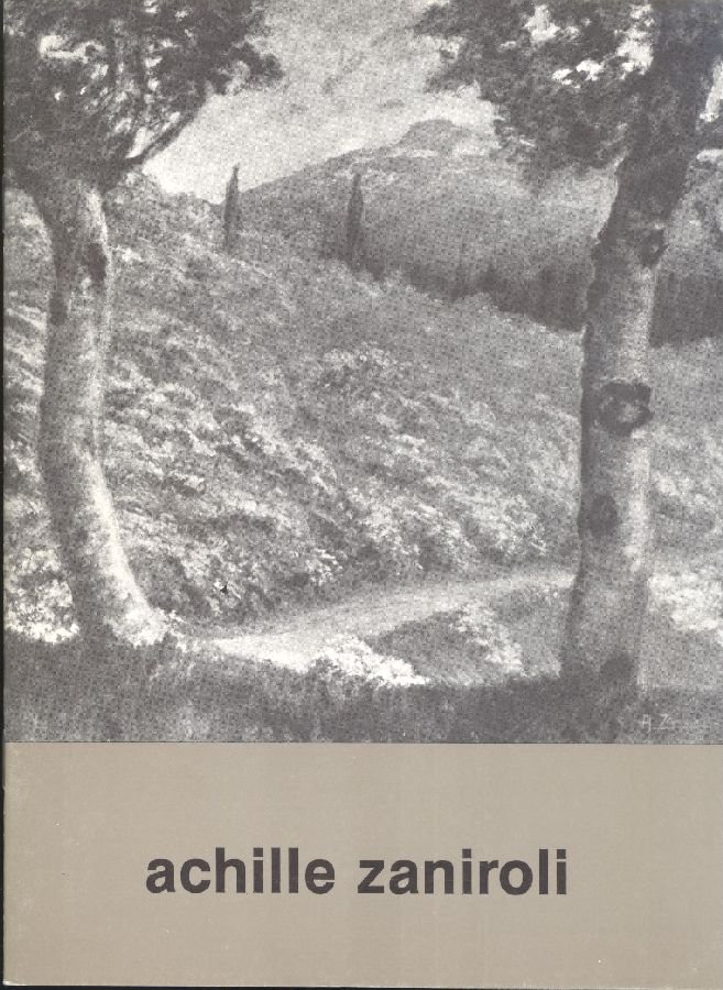 Achille Zaniroli | Immagine principale