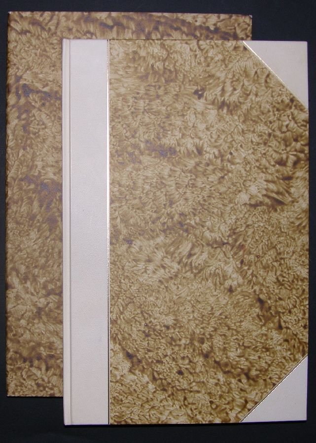 Alcune memorie dei fatti di Leonardo da Vinci a Milano … | Immagine principale