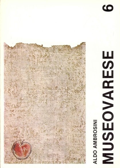 Aldo Ambrosini | Immagine principale