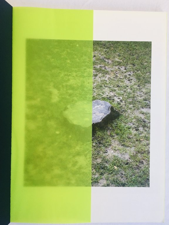 Alphabet | Immagine Gallery 2