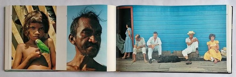 Amazzonia | Immagine Gallery 3