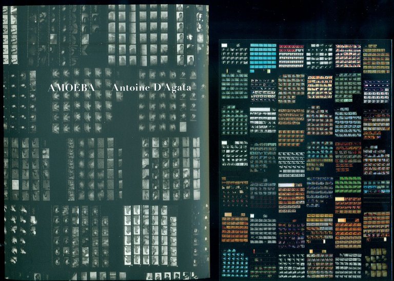 Amoeba | Immagine Gallery 2