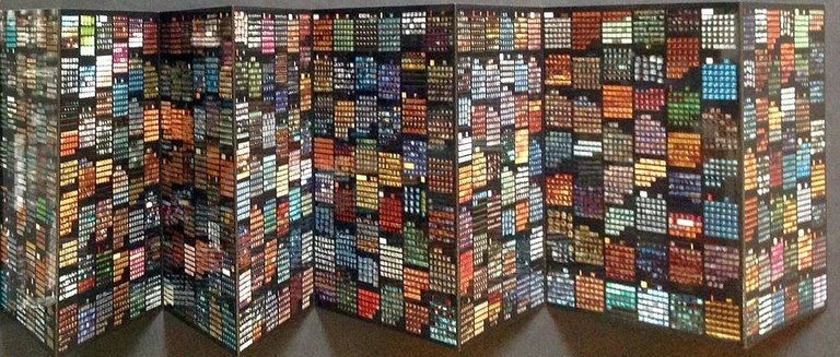 Amoeba | Immagine Gallery 3