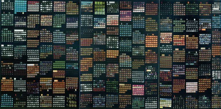 Amoeba | Immagine Gallery 4