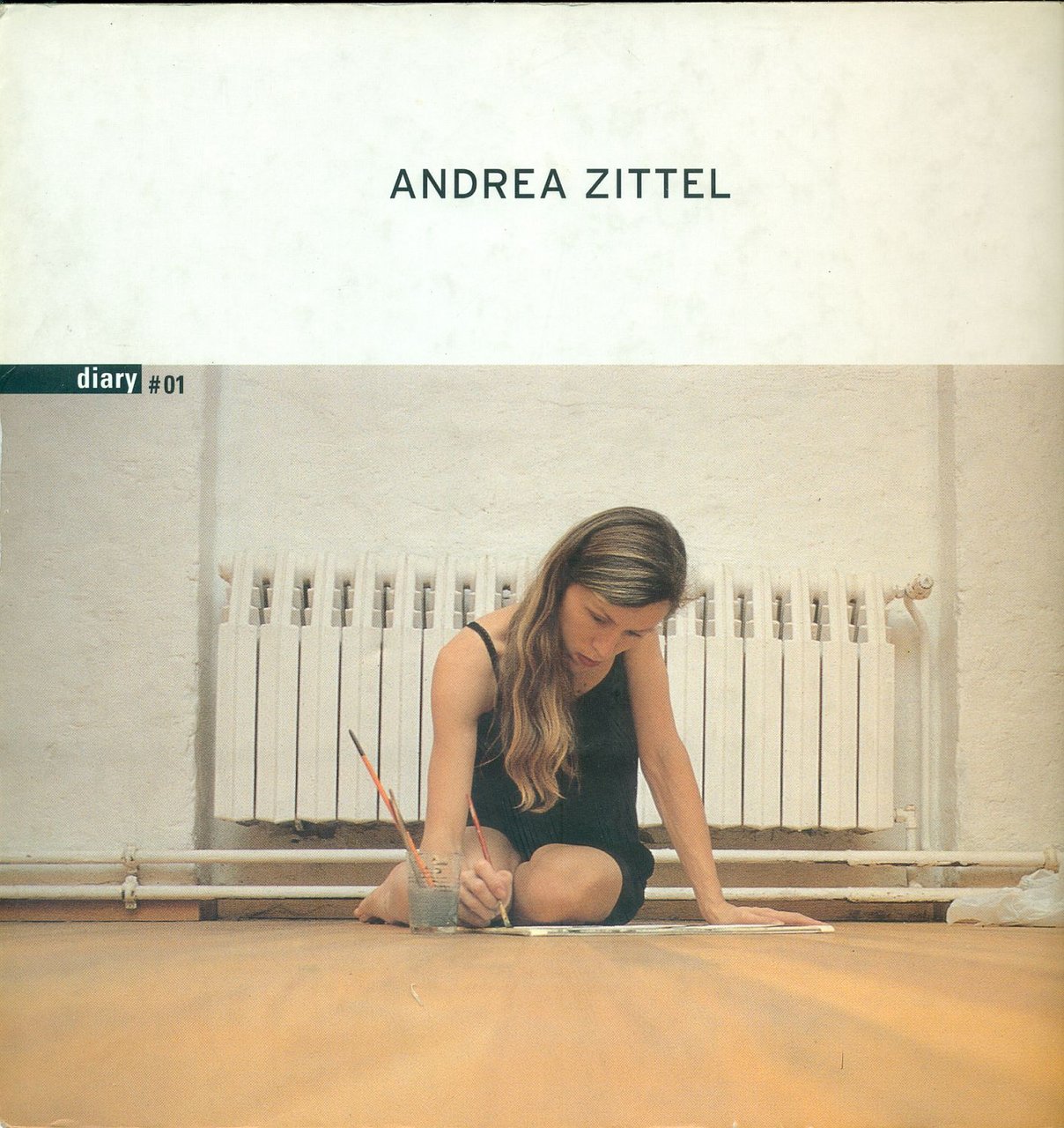 Andrea Zittel | Immagine principale
