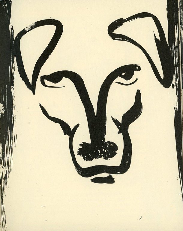 Ante | Immagine Gallery 2