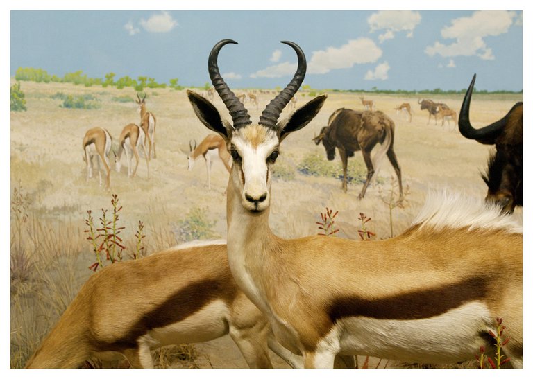 Anywhere, but exactly here | Immagine Gallery 3