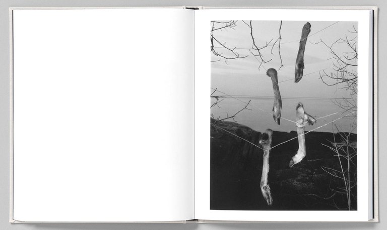 At Night Gardens Grow | Immagine Gallery 5