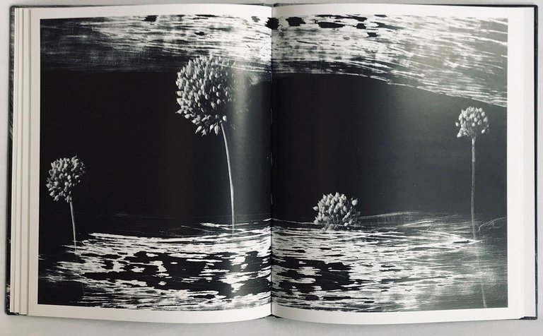 Attilio Scimone. Materia, luce, irriducibilità | Immagine Gallery 5