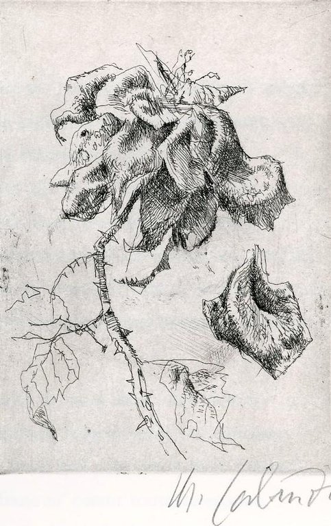 Ballades et Rondeaux du Testament Villon | Immagine Gallery 4