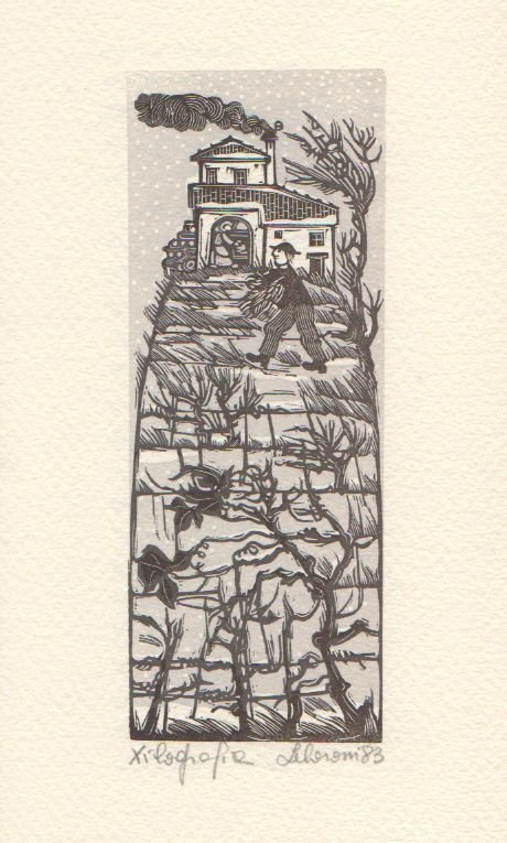 Ballata del vecchio mezzadro | Immagine Gallery 2