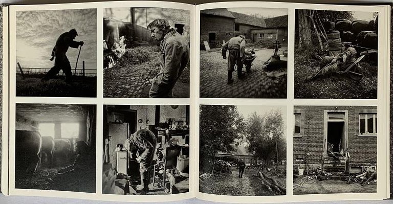 Belgicum | Immagine Gallery 7