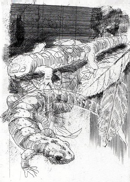 Bestiario | Immagine principale