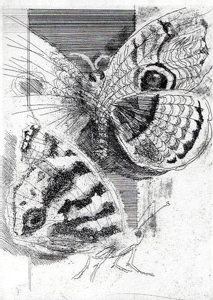 Bestiario | Immagine Gallery 3