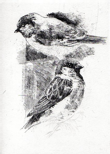 Bestiario | Immagine Gallery 4