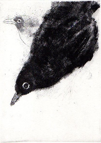 Bestiario | Immagine Gallery 5