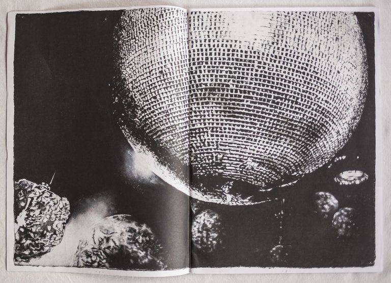 Black Pastels. Enlightment Through Floral Arrangements Ponys and Nudes | Immagine Gallery 2