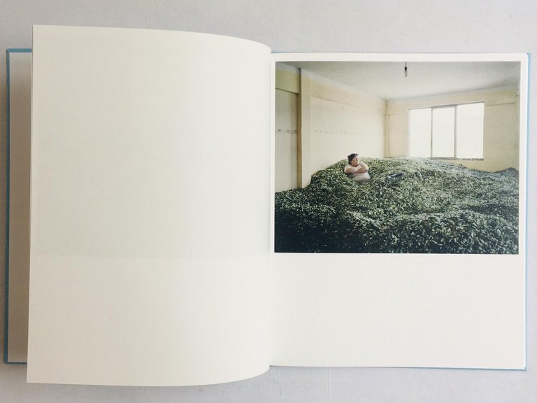 Buscando a Bolivar | Immagine Gallery 2