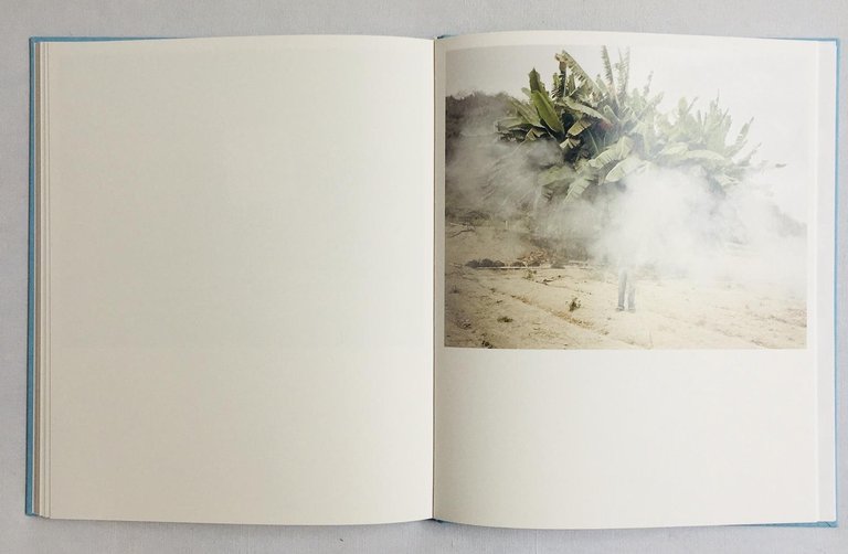 Buscando a Bolivar | Immagine Gallery 5