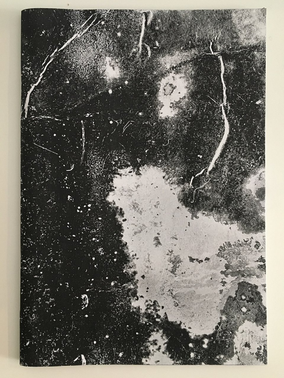 Calx | Immagine principale