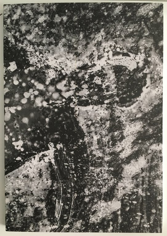 Calx | Immagine Gallery 2