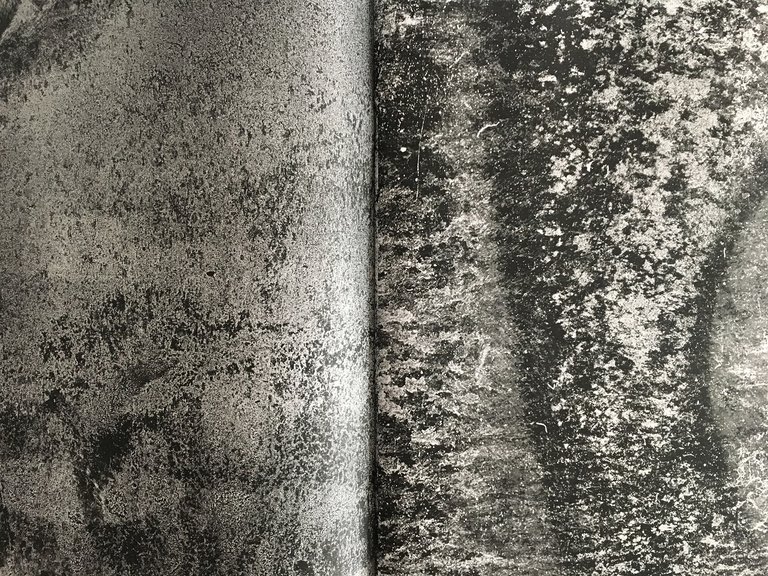 Calx | Immagine Gallery 3