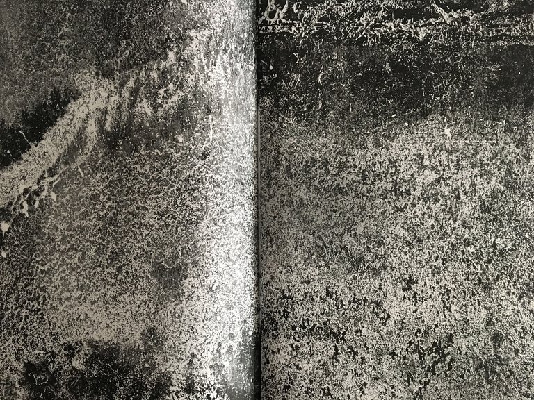 Calx | Immagine Gallery 4