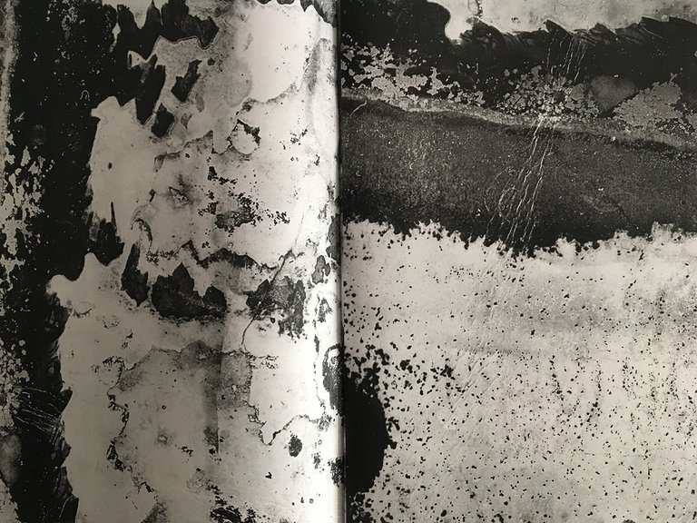 Calx | Immagine Gallery 5